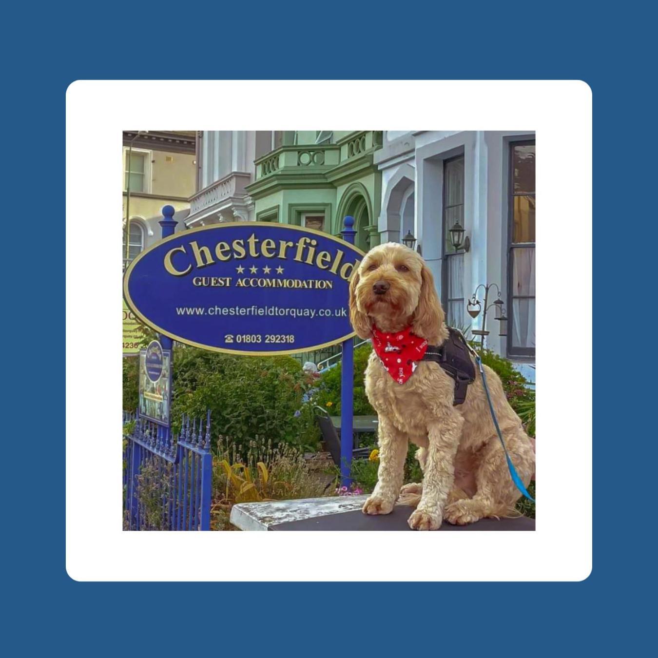 The Chesterfield, Torquay (Adults Only) Exterior foto